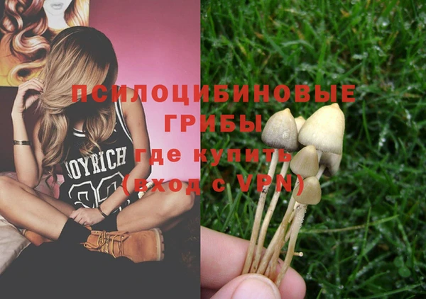 крисы Богданович