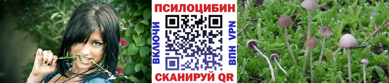 что такое   Клин  Галлюциногенные грибы Magic Shrooms 