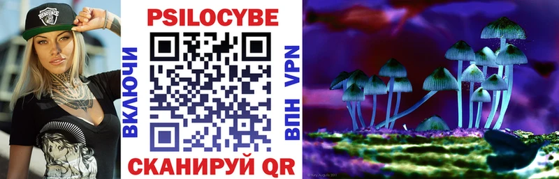 Псилоцибиновые грибы GOLDEN TEACHER Клин